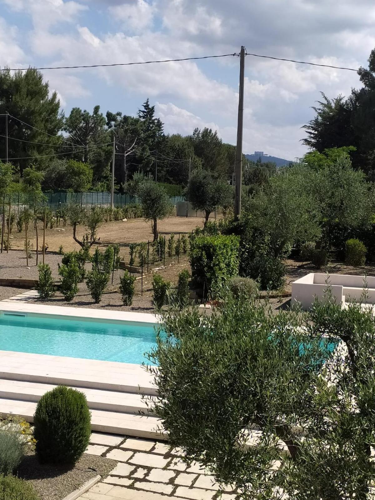 I Muretti A Secco B&B Castel Del Monte  Extérieur photo